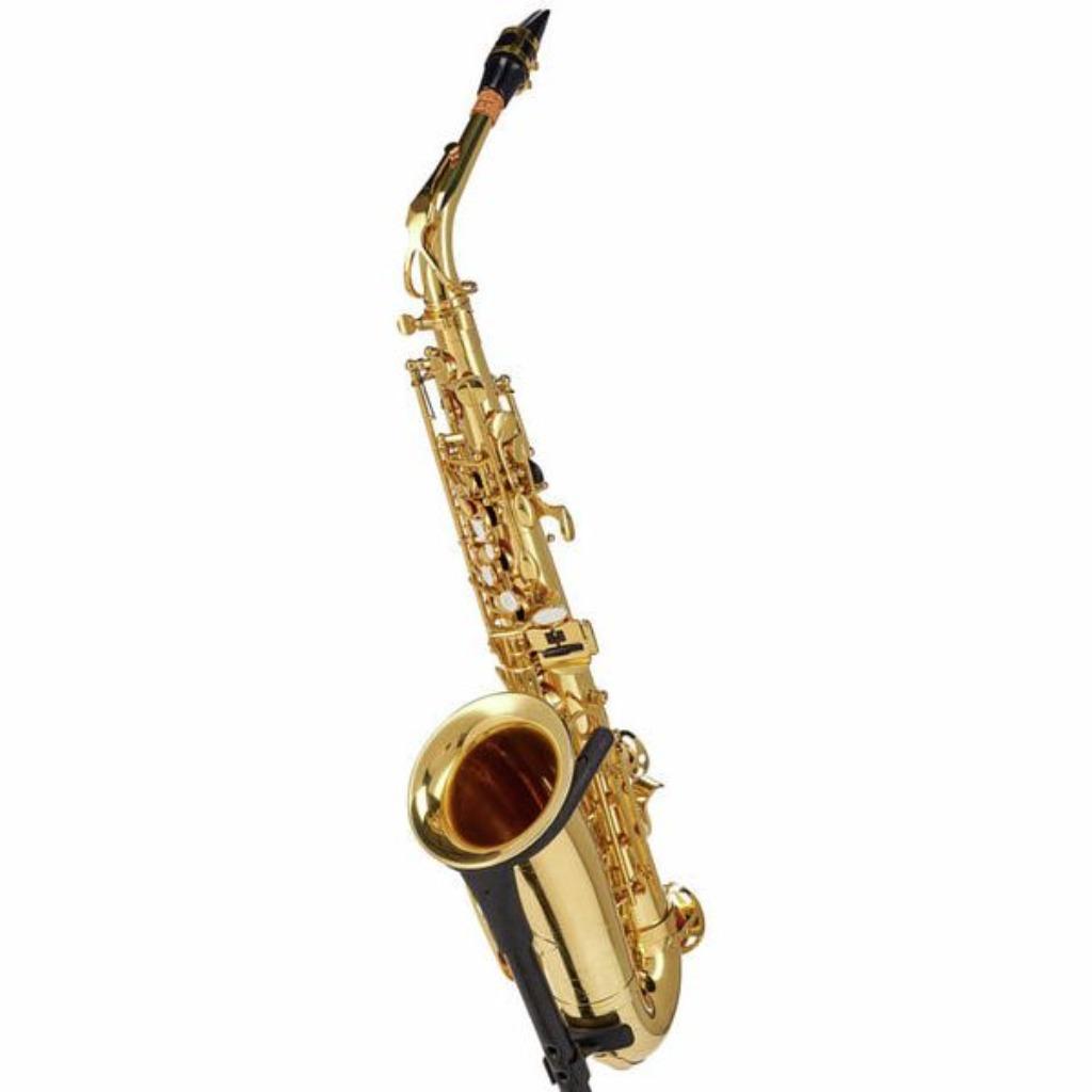 Saxophone Alto Neuf avec Accessoires, Enlèvement ou Envoi, Neuf, Alto, Avec valise