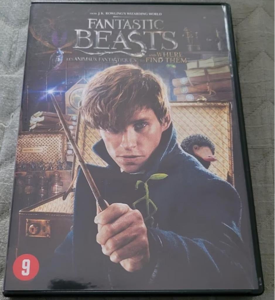 Fantastic Beasts and where to find them, CD & DVD, DVD | Aventure, À partir de 9 ans, Enlèvement ou Envoi, Comme neuf