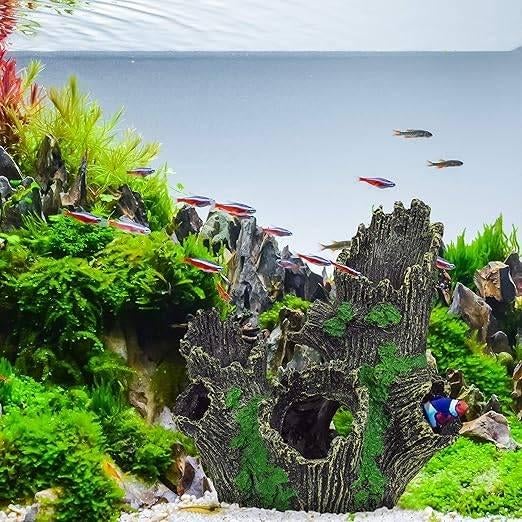 Décoration d'aquarium | LIVRAISON GRATUITE, Neuf, -, -, Autres types