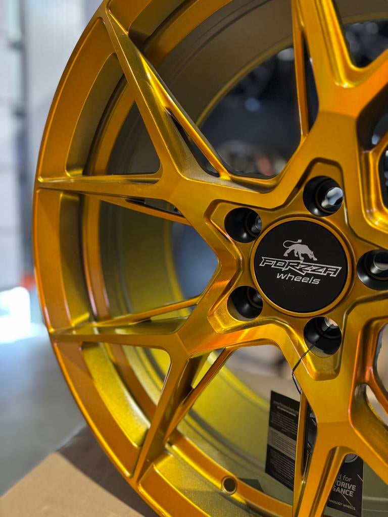 19” forzza oregon golden amber, Enlèvement