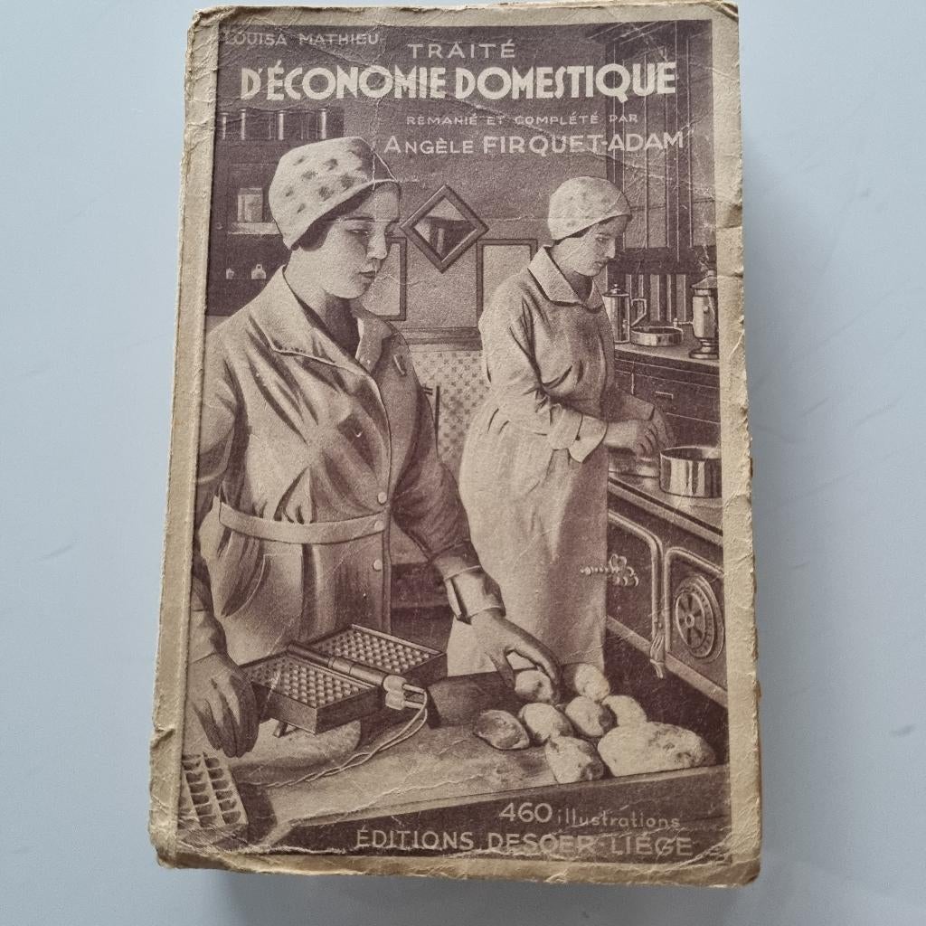 livre ancien d'économie domestique, Antiquités & Art, Enlèvement ou Envoi