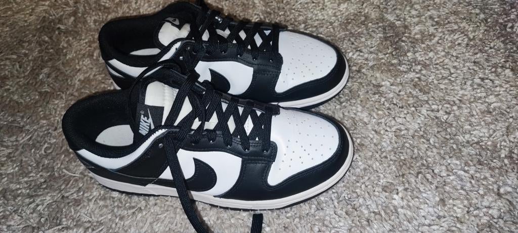 Nieuwe dunks Nike, Ophalen of Verzenden