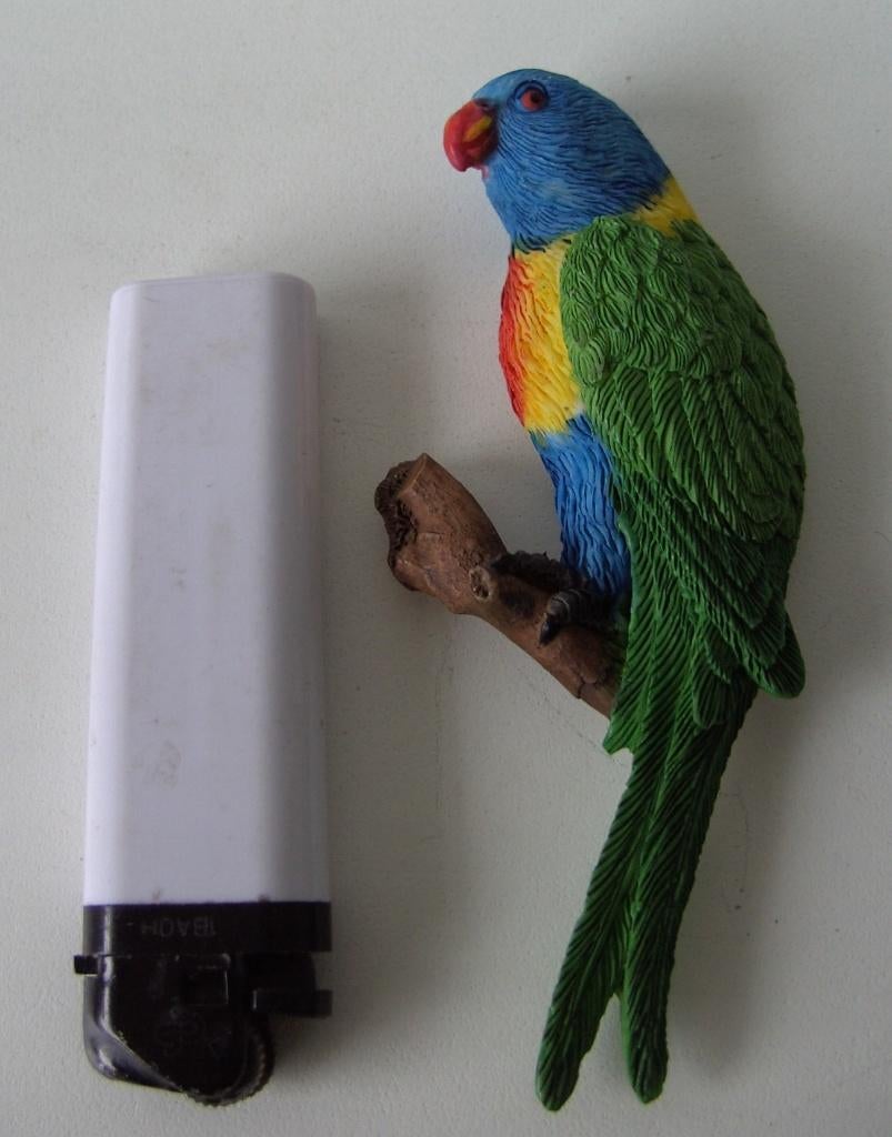 MAGNEETJES GROTE PAPAGAAI LORI 24 STUKS NIEUW, Dieren en Toebehoren, Papegaai