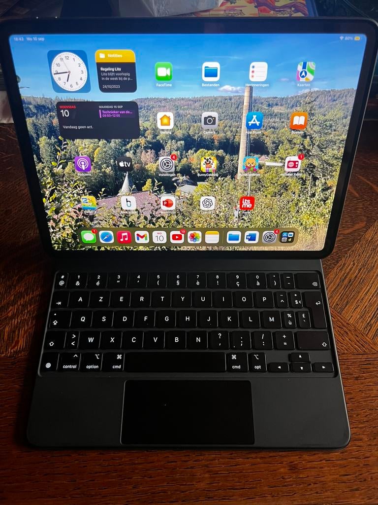 Ipad pro 11inch + magic keyboard + case en nieuwe lader, Informatique & Logiciels, Apple iPad Tablettes, Gris, Enlèvement ou Envoi