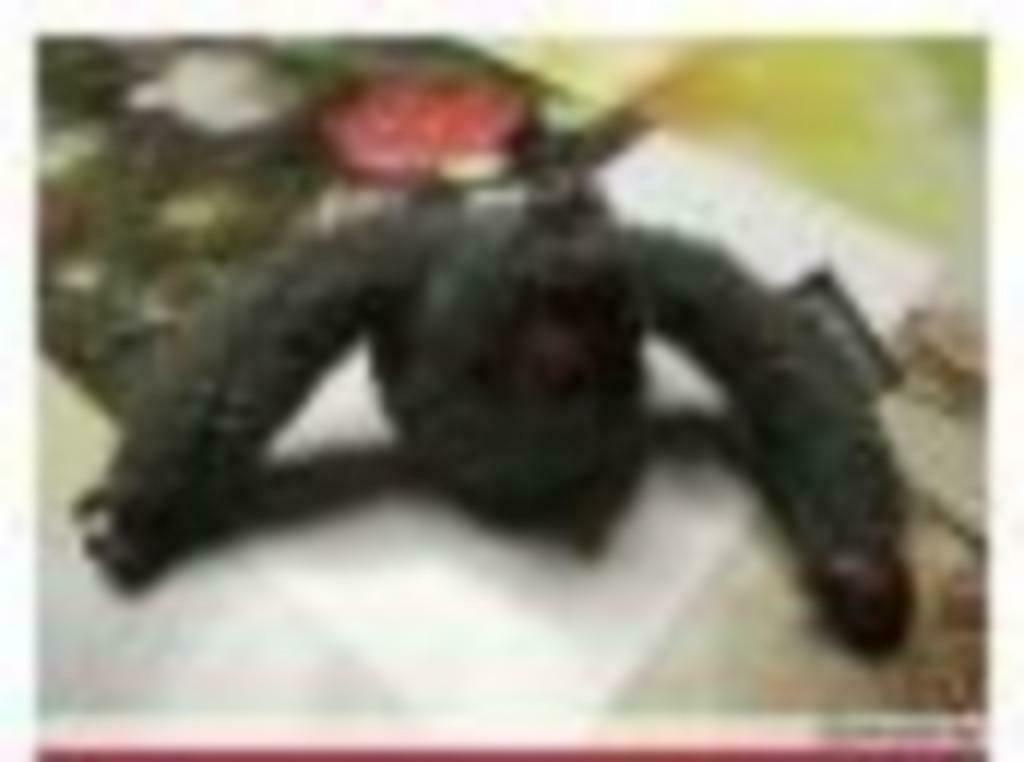 Kipling aapje "Pascale", Verzamelen, Ophalen of Verzenden, Gebruikt, Knuffel of Figuurtje