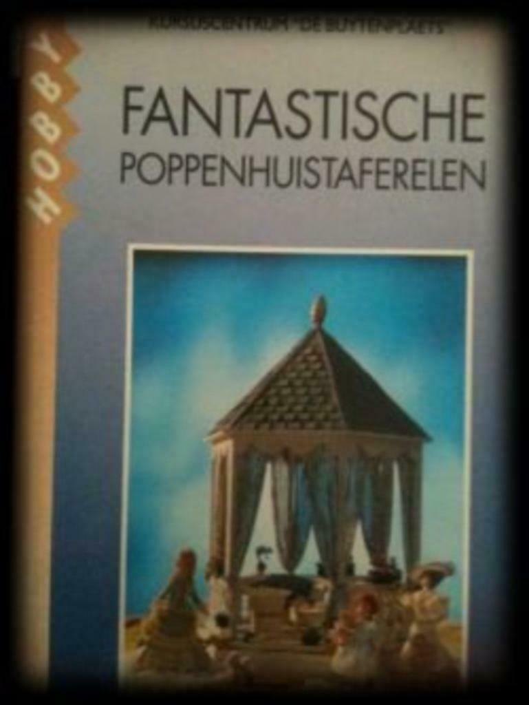 Fantastische poppenhuistaferelen, Ophalen of Verzenden, Gelezen