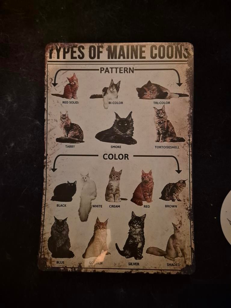 Metalen plaat soorten maine coon kat, Verzenden