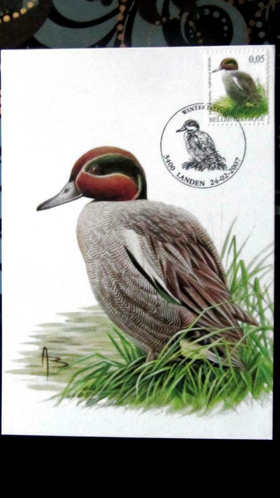 FIRST DAY OP KAART- VOGELS VAN BUZIN- DE WINTERTALING, Ophalen of Verzenden, Gestempeld, Dier of Natuur
