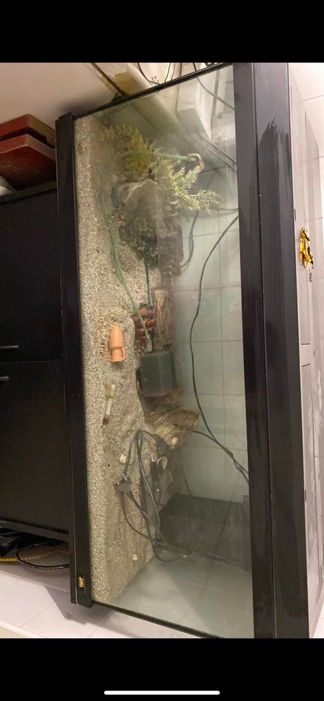 Aquarium avec armoire 1M, Comme neuf