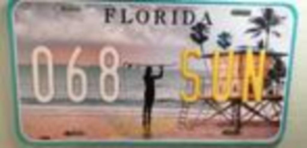 Plaque florida en métal tb état grande 20x40 +- tb état, Ophalen of Verzenden, Zo goed als nieuw