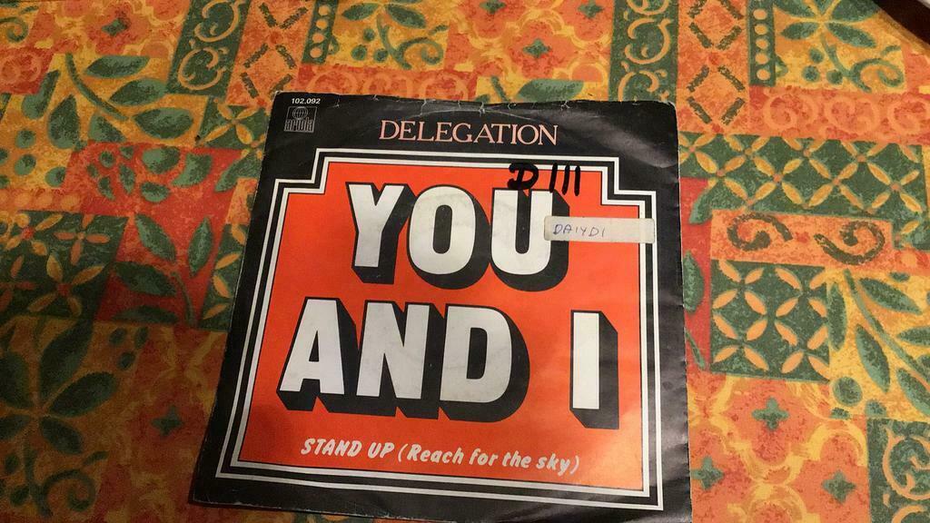 Délégation Vynil célibataire, Enlèvement ou Envoi, Single