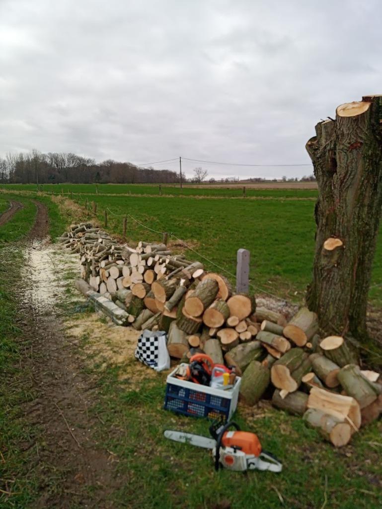 Vellen / knotten / opruimen van bomen in ruil voor brandhout, Ophalen of Verzenden, Nieuw