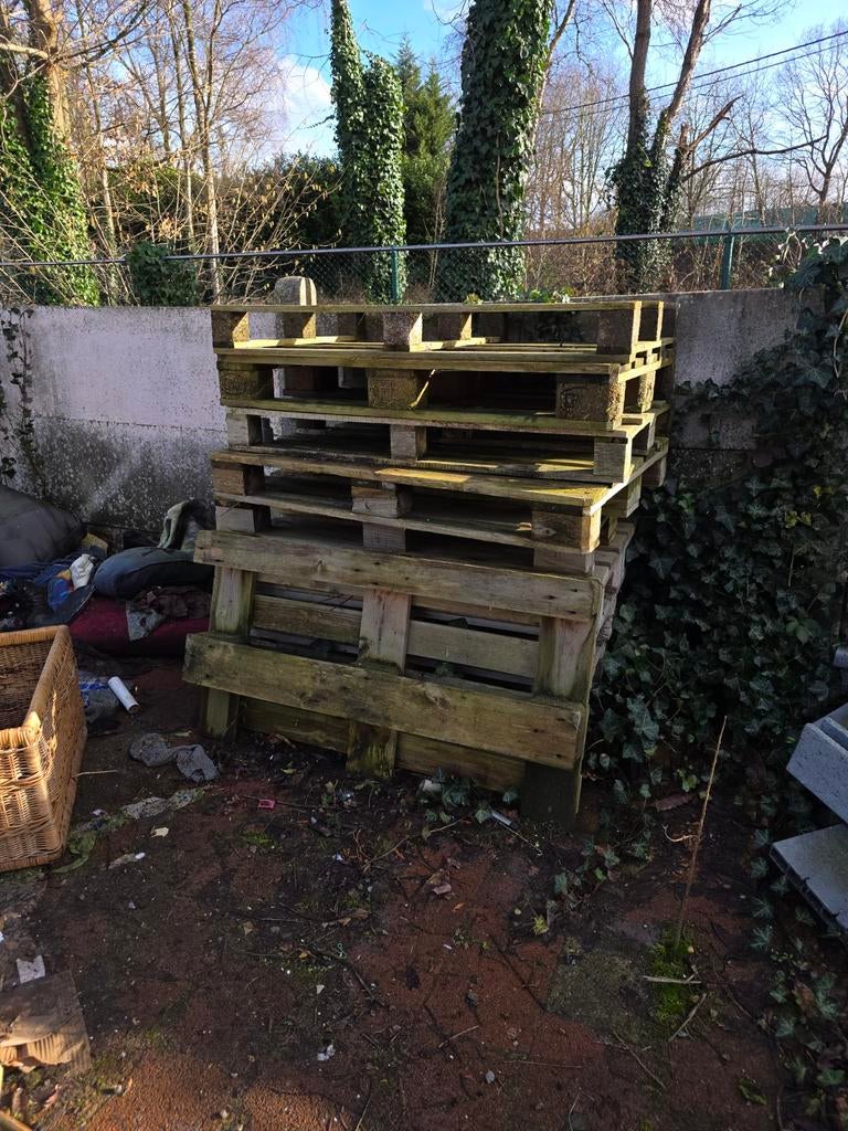 Gratis stookhout alles meenemen  of niets, Ophalen