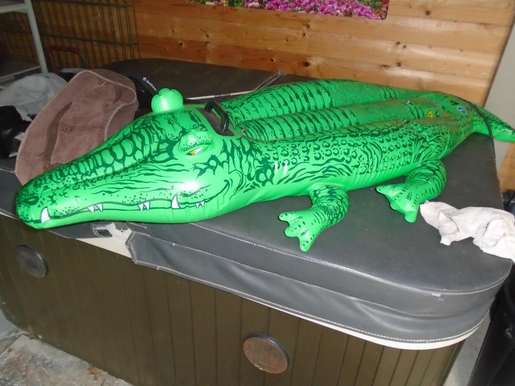 Opblaasbare zwemband en krokodil alligator, Ophalen, Zo goed als nieuw