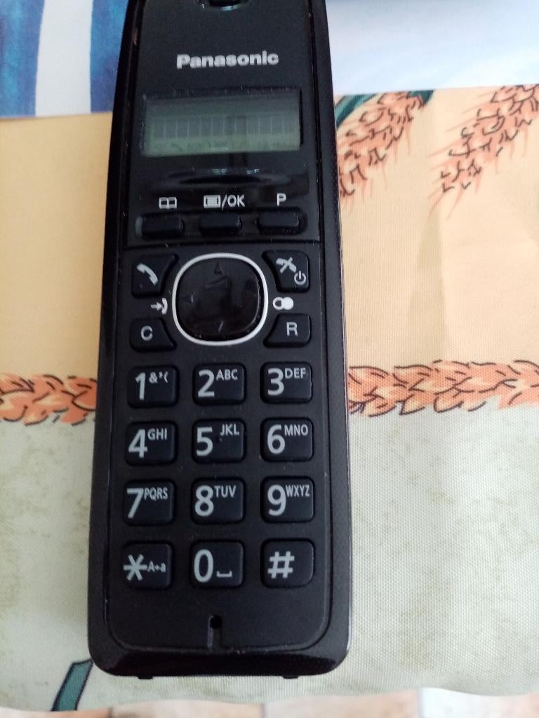 téléphone "Panasonic KX-TG1611", Enlèvement, Utilisé, 1 combiné