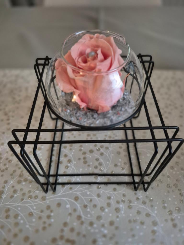 Rose éternelle, Maison & Meubles, Enlèvement