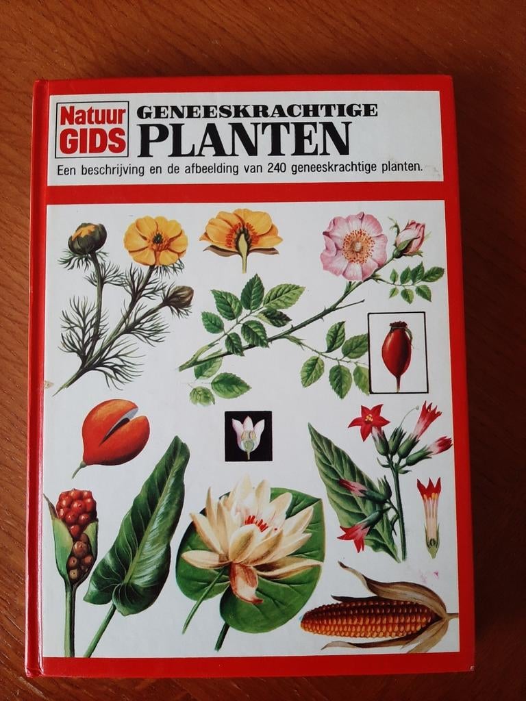 Natuurgids Geneeskrachtige Planten – 1978, Ophalen of Verzenden, Gelezen