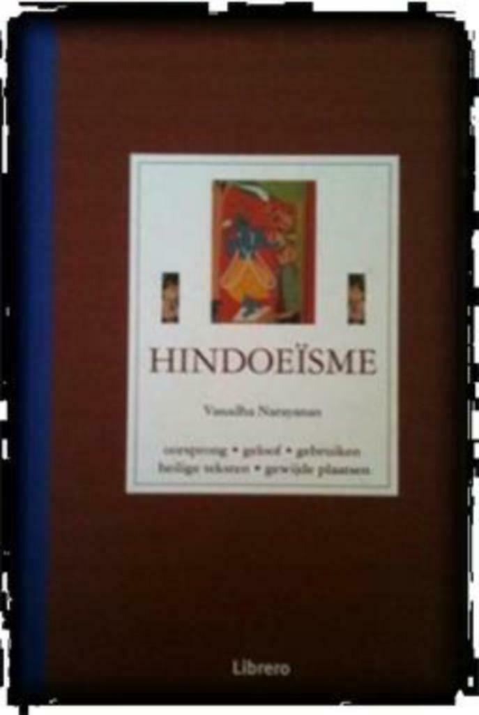 Hindoeïsme, Vasudha Narayanan, Boeken, Godsdienst en Theologie, Ophalen of Verzenden, Gelezen, Hindoe