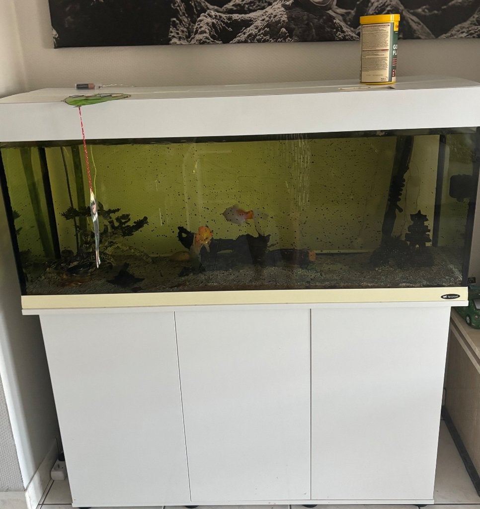 Aquarium, Diversen, Ophalen, Gebruikt