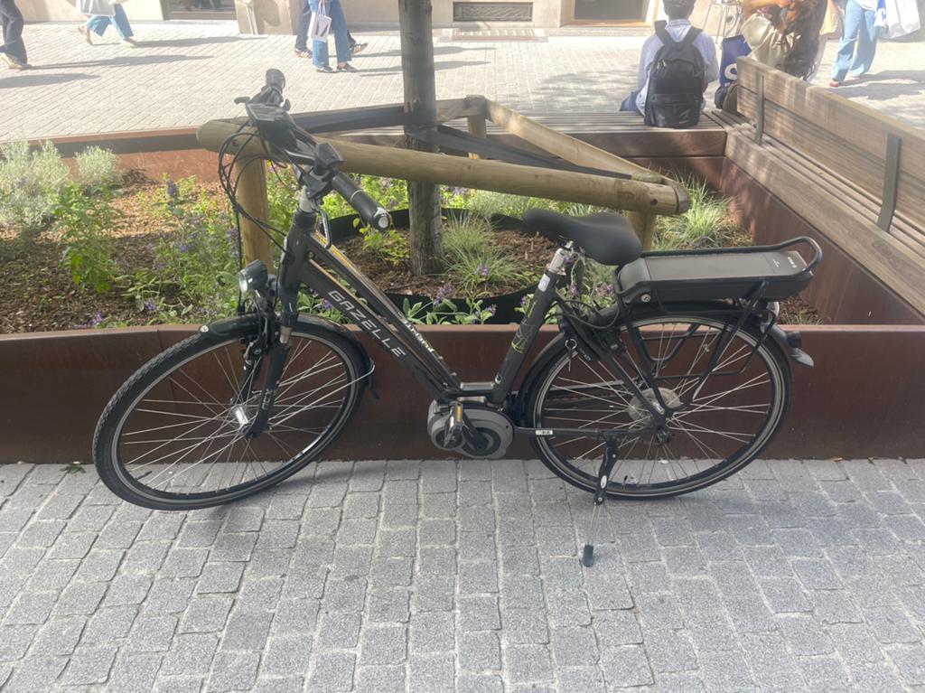 Prachtige electrische gazelle fuente dames  in top conditie, Fietsen en Brommers, Fietsen | Bakfietsen, Ophalen, Zo goed als nieuw