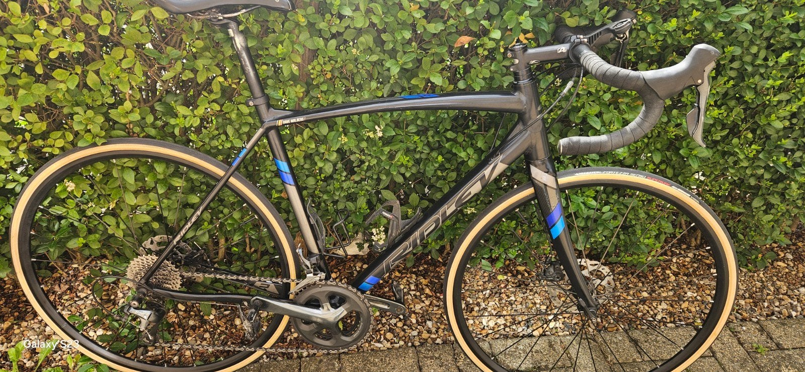 ridley disc, Fietsen en Brommers, Fietsen | Racefietsen, Ophalen of Verzenden
