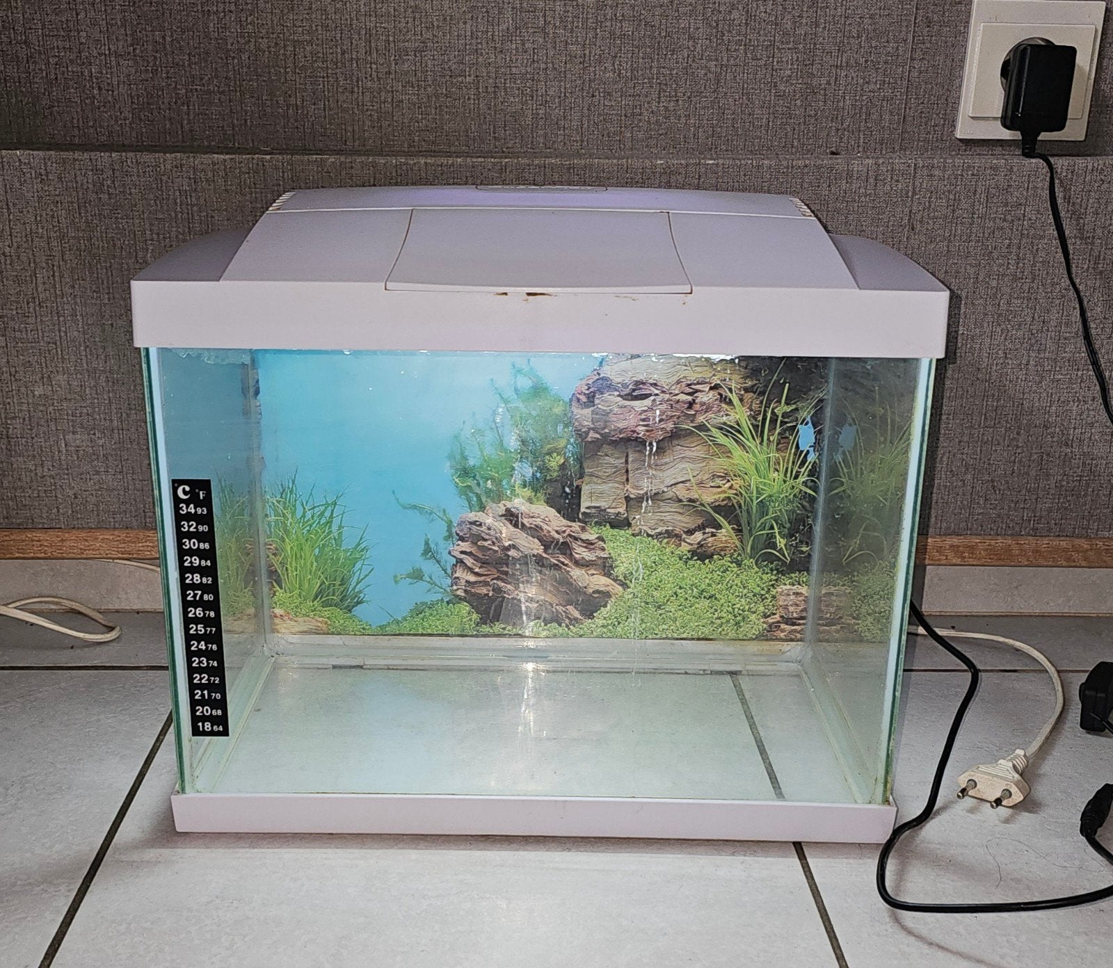 kleine vis aquarium met poster en licht werkt, Dieren en Toebehoren, Ophalen, Gebruikt