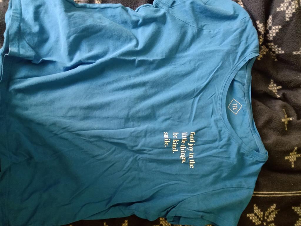 Blauwe T-shirt, Kleding | Dames, T-shirts, Ophalen of Verzenden, Maat 38/40 (M)