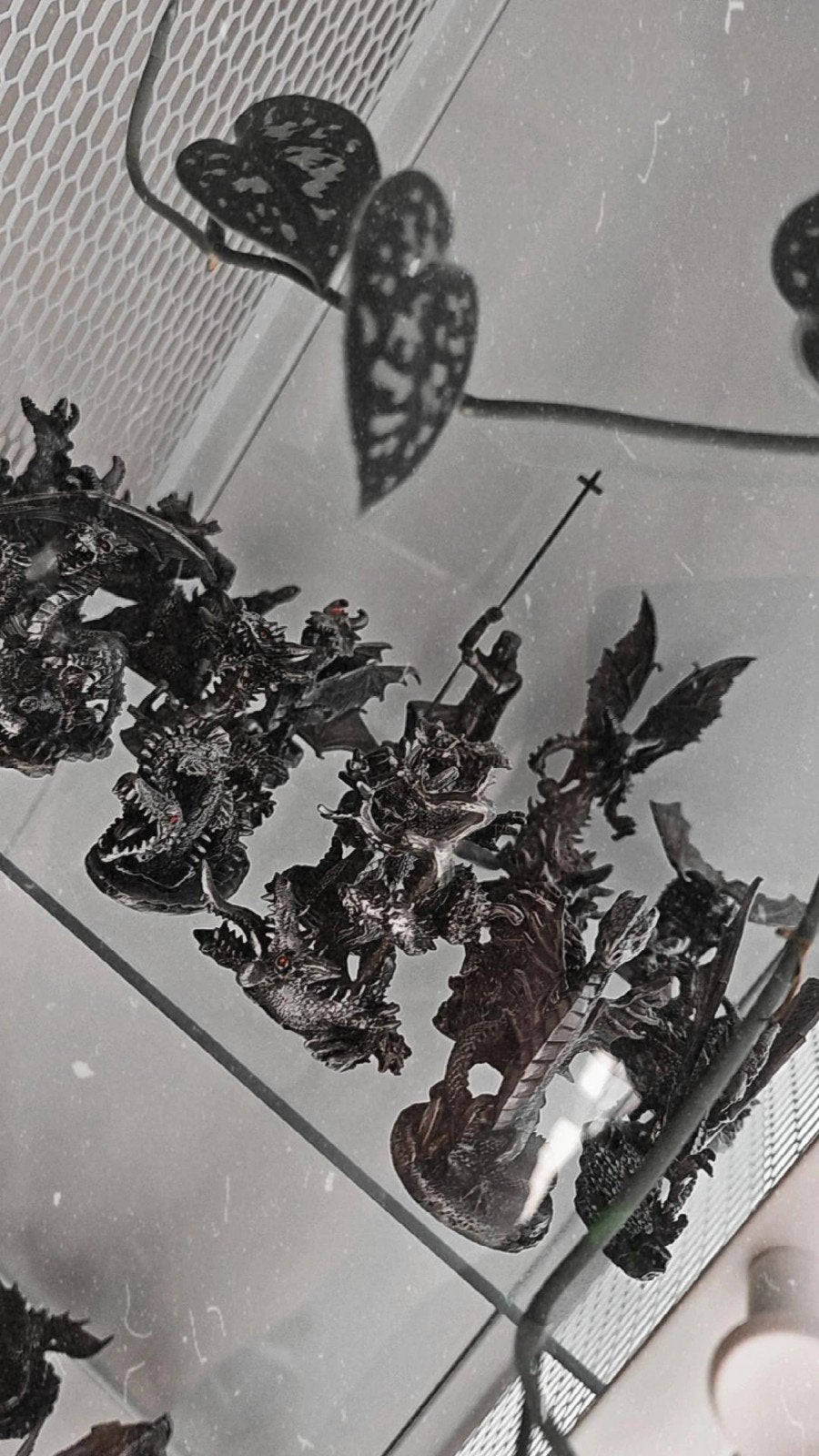 Dragons et Créatures Fantastiques, Enlèvement ou Envoi