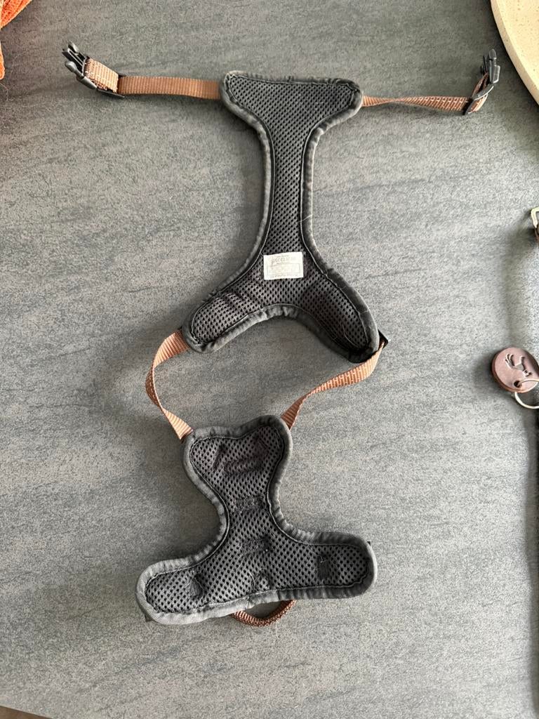 Honden harnas maat xs, Ophalen, Gebruikt