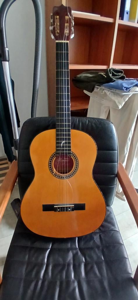 spaanse gitaar, Muziek en Instrumenten, Snaarinstrumenten | Gitaren | Akoestisch, Ophalen, Gebruikt, Klassieke of Spaanse gitaar