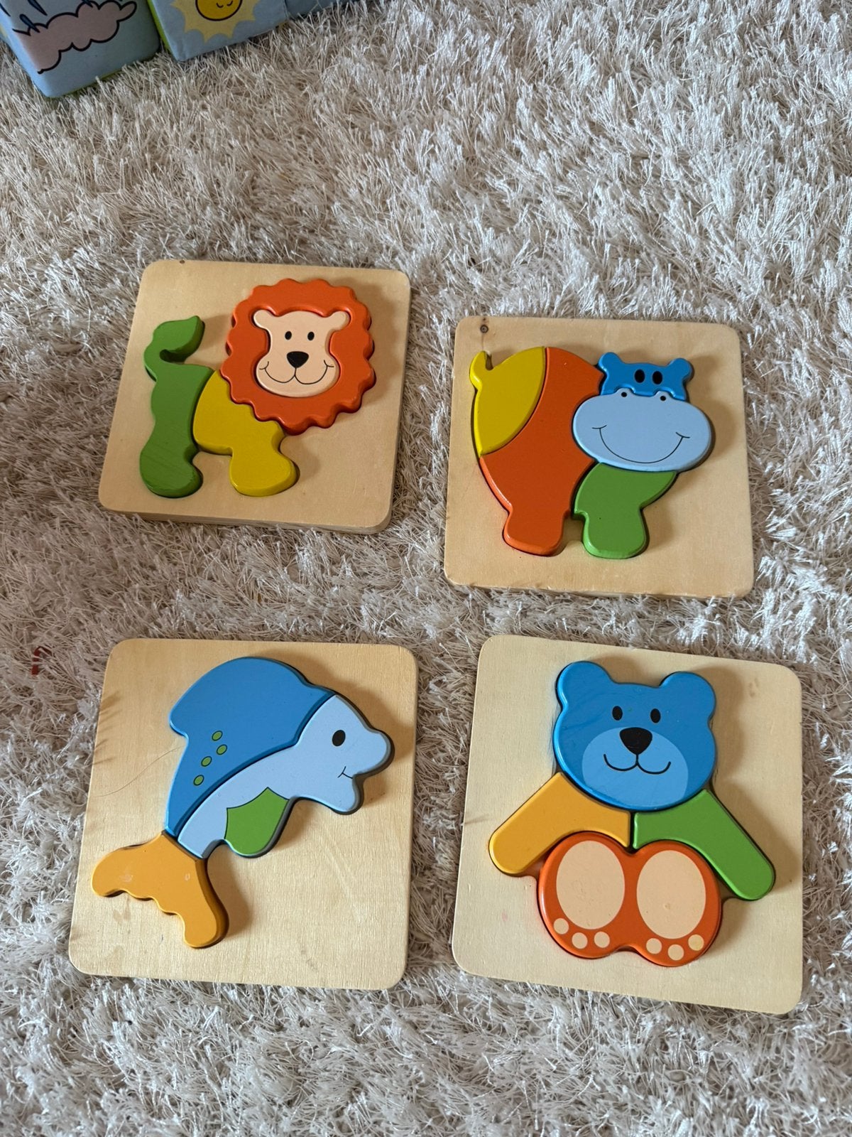 Houten puzzels, Enlèvement ou Envoi, Comme neuf