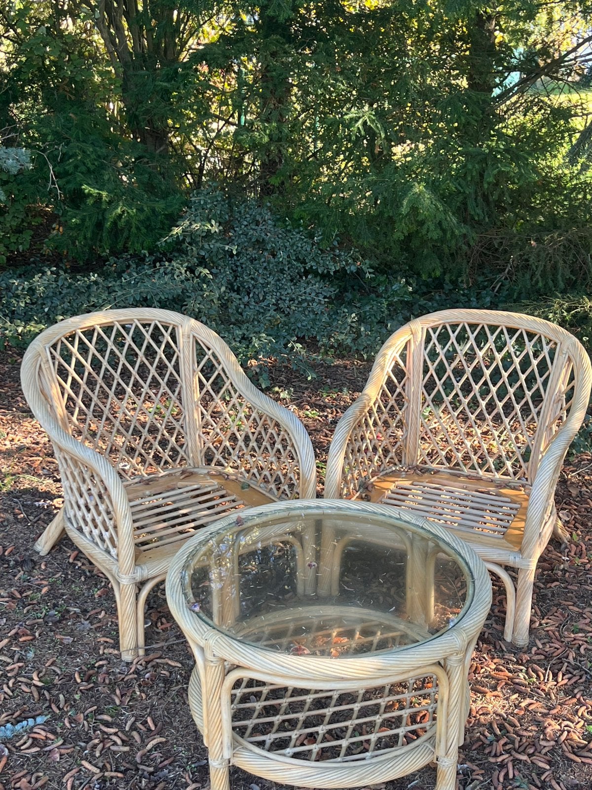 Rotan salon zetels en tafel, Ophalen, Gebruikt, Rotan