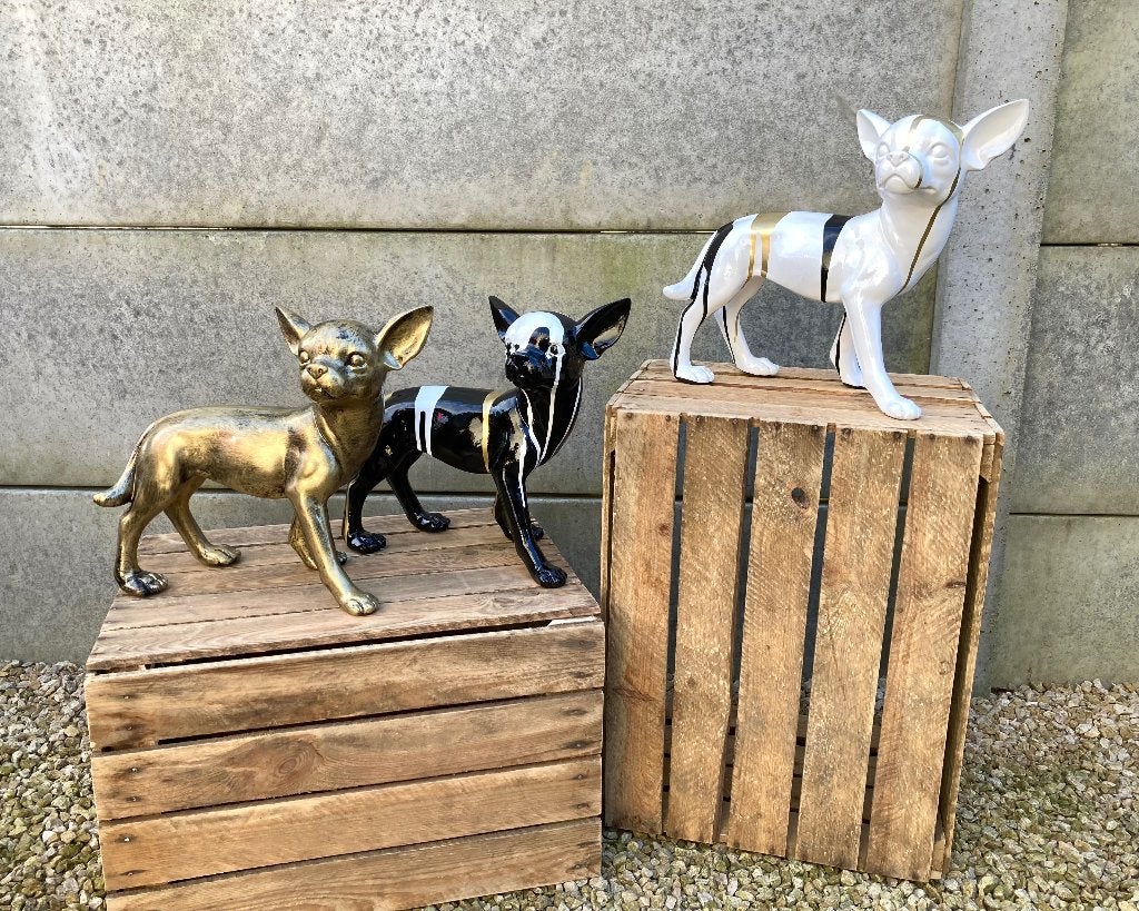 Beeld chihuahua H32cm, Enlèvement, Neuf, Animal