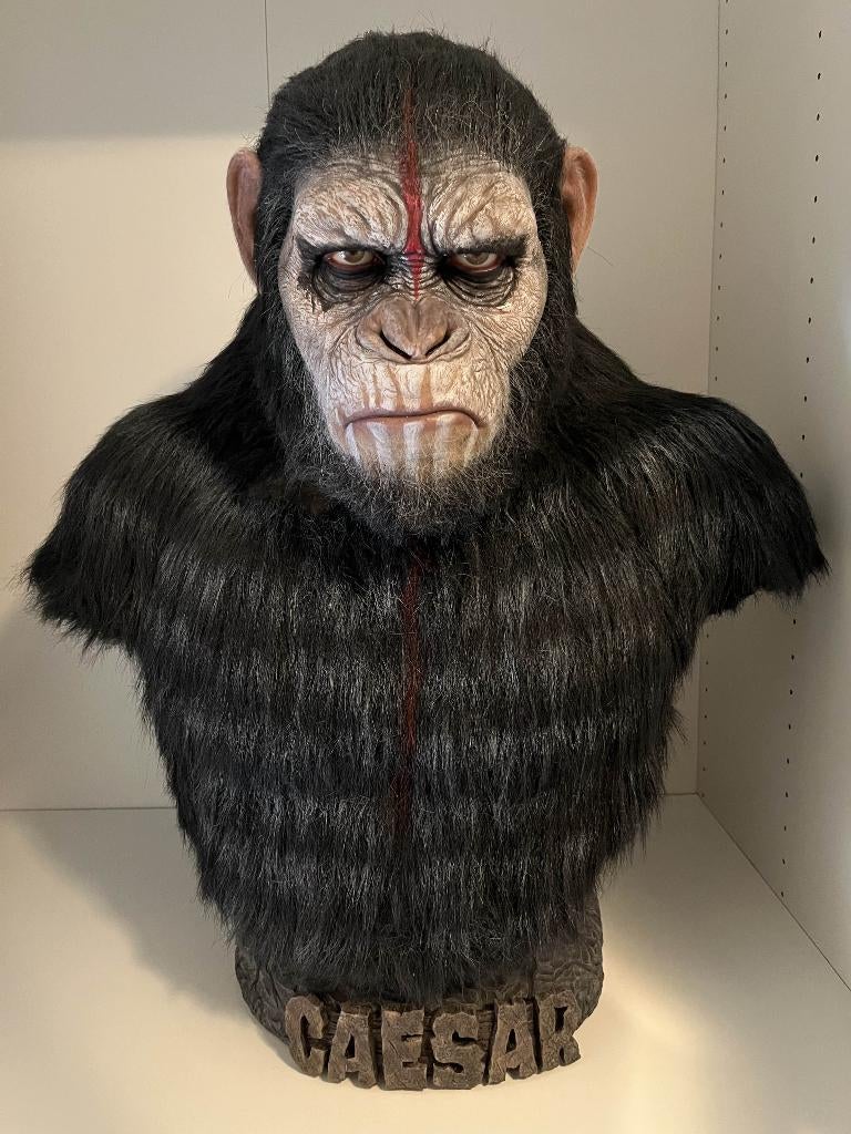 Bluebox Hyper Caesar life size bust war paint version, Verzamelen, Film en Tv, Zo goed als nieuw, Film, Beeldje, Replica of Model