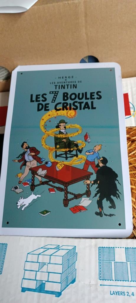 Tintin, Enlèvement ou Envoi, Tintin