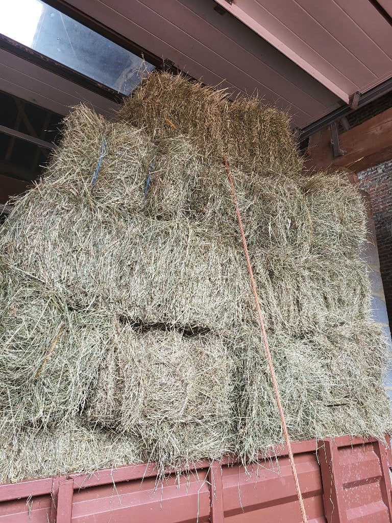 kleine botten hooi, Dieren en Toebehoren, Ophalen, Vee