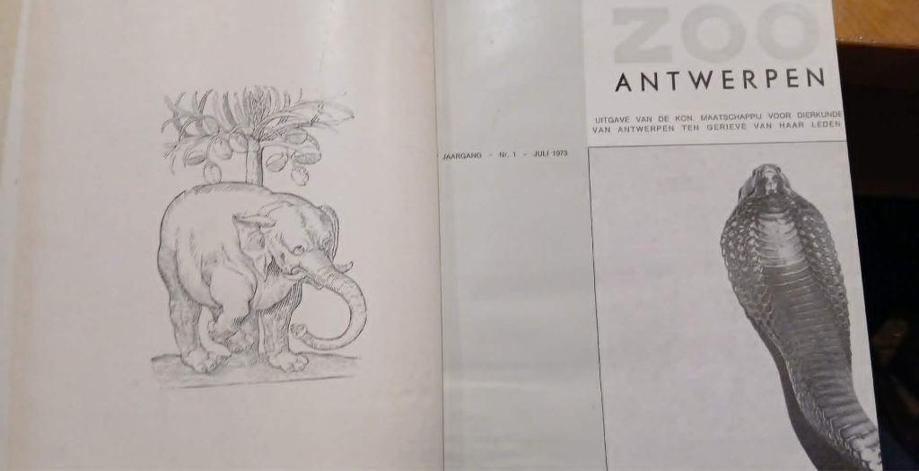 ZOO D'ANVERS - magazine rare 1967 à 1980, Collections, Revues, Journaux & Coupures, Journal ou Magazine, 1960 à 1980, Enlèvement ou Envoi