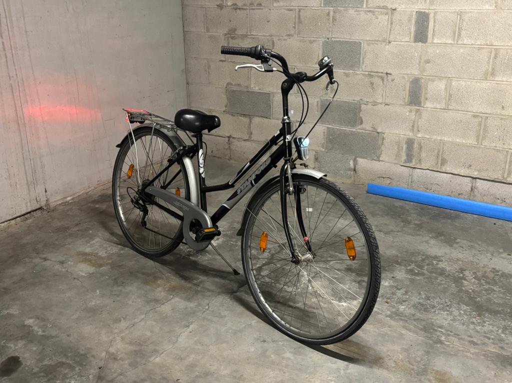 Vélo pour femme avec siège pour enfant sécurisé, Accès (extra) bas, Autres marques, Frein sur jante, Enlèvement