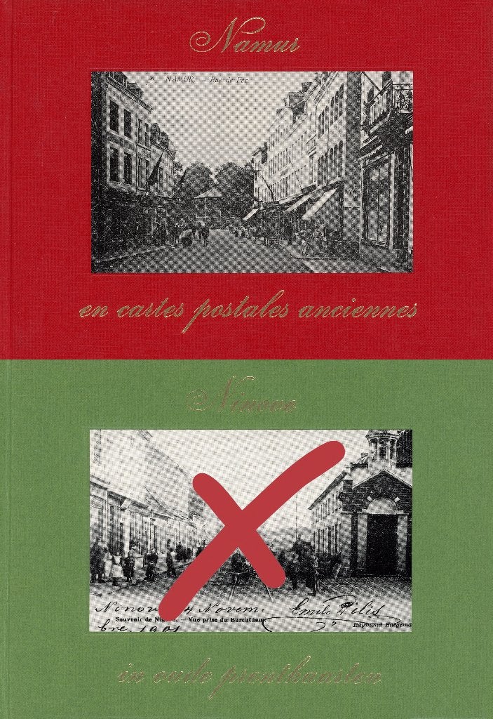 In oude prentkaarten - Namur, Livres, Enlèvement ou Envoi, Comme neuf