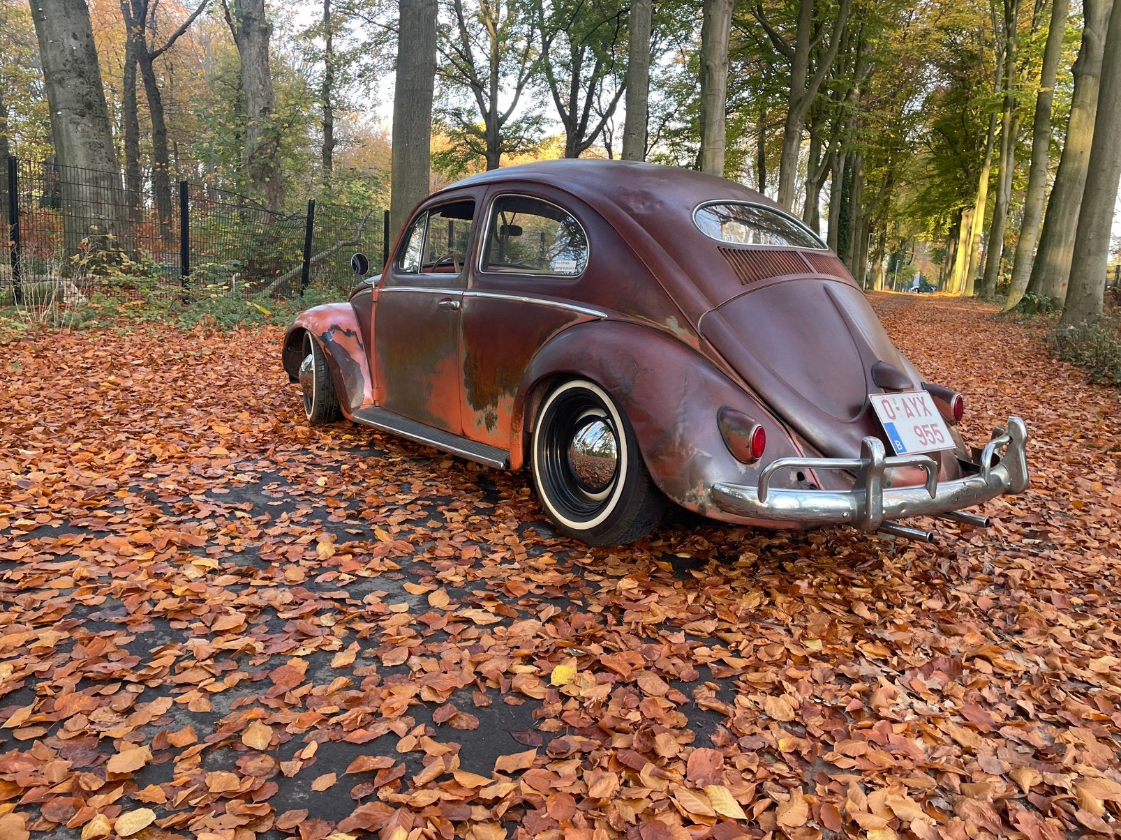 Vw kever Ovaal 1956–Amerikaanse uitvoering–Prachtige patina, foto 4