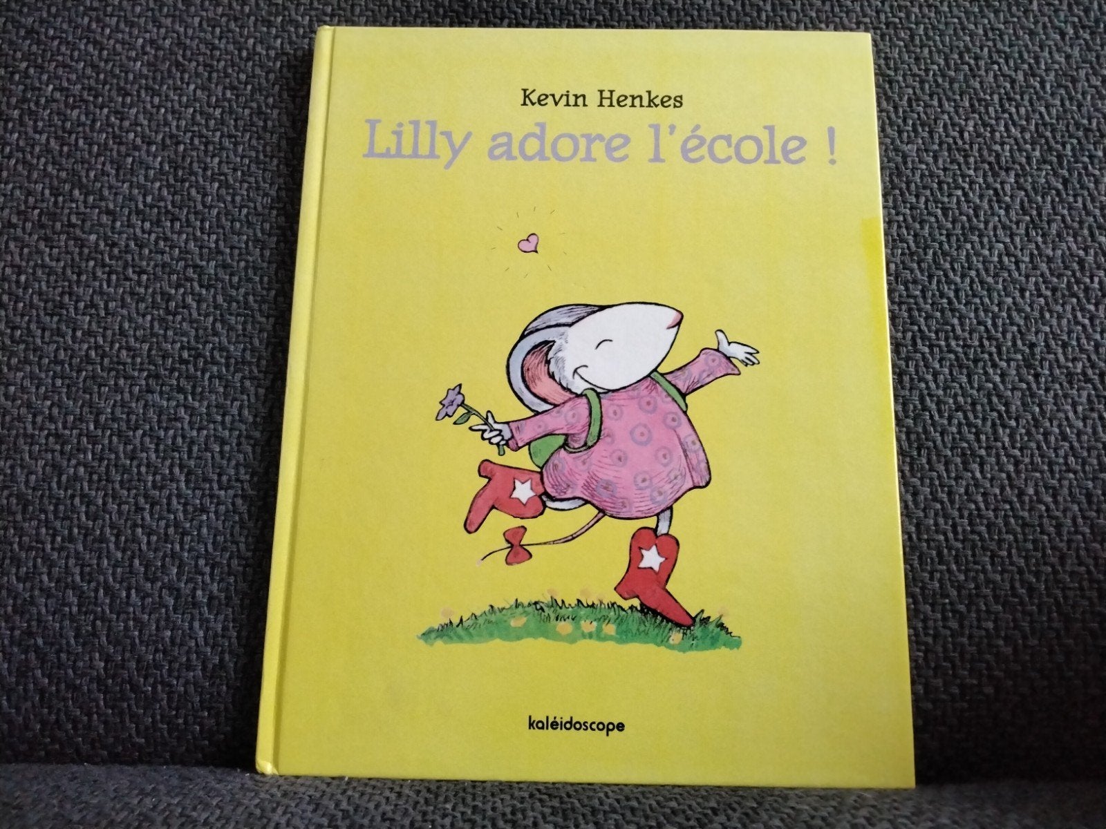 lilly adore l’école, Enlèvement ou Envoi