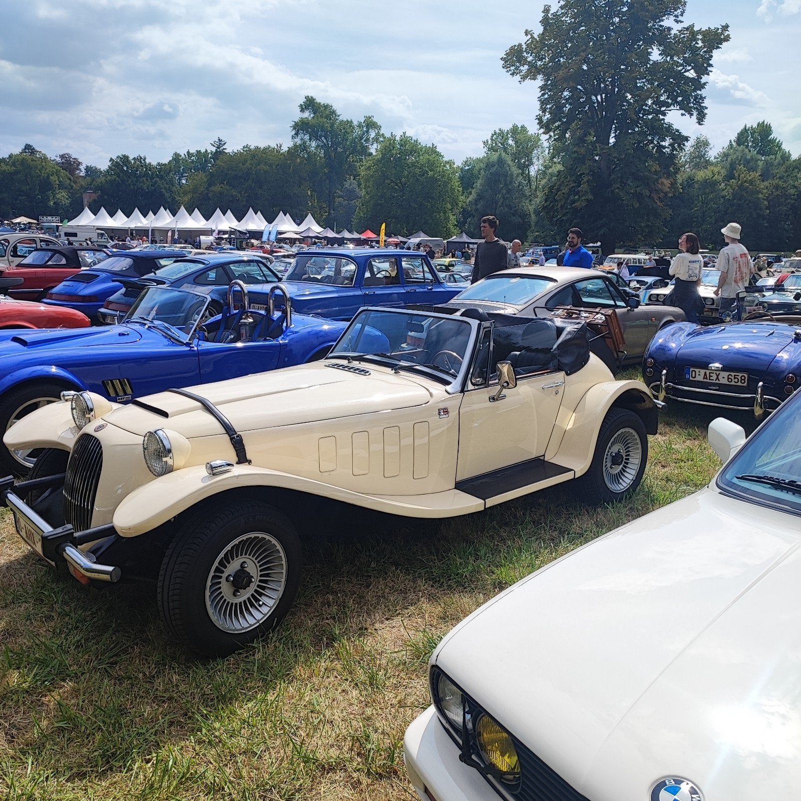 panther kallista, Autos, Cuir, Carnet d'entretien, Particulier, Ford