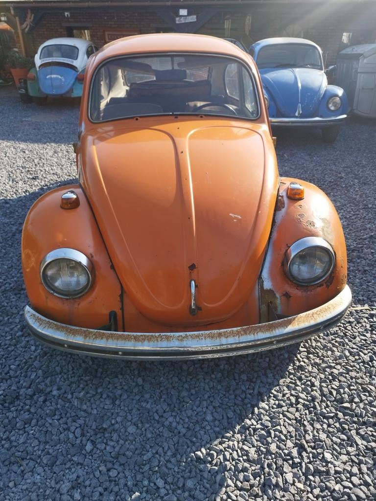 Vw cox, Particulier, Achat