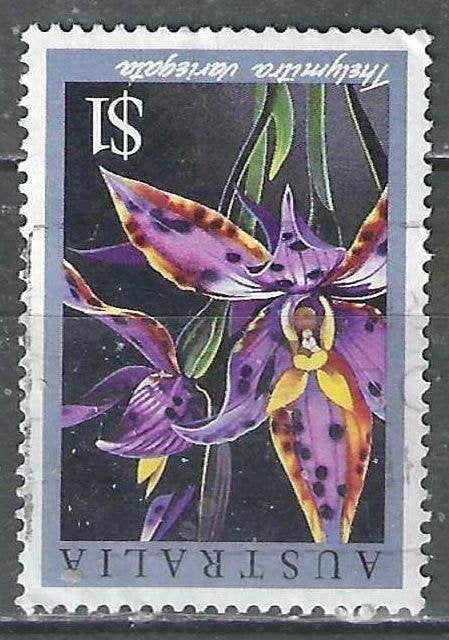 Australie 1986 - Yvert 976 - Thelymitra variegata (ST), Verzenden, Gestempeld
