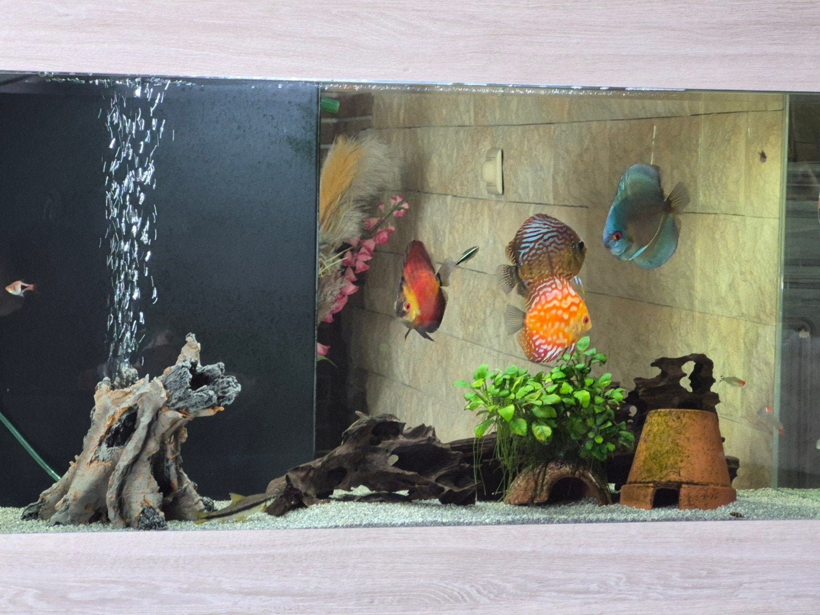 Aquarium beige avec meuble 1m/40cm/H 1m32, Chauffage