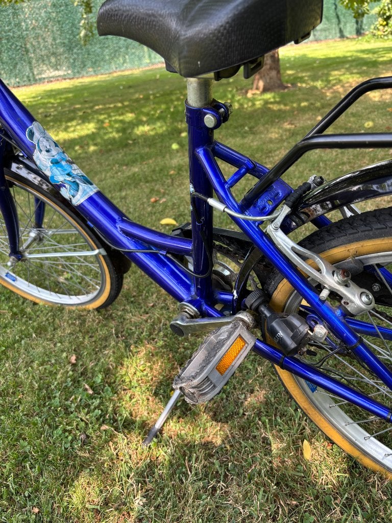 Kinderfiets, Fietsen en Brommers, Ophalen, Gebruikt, Terugtraprem, 20 inch of meer