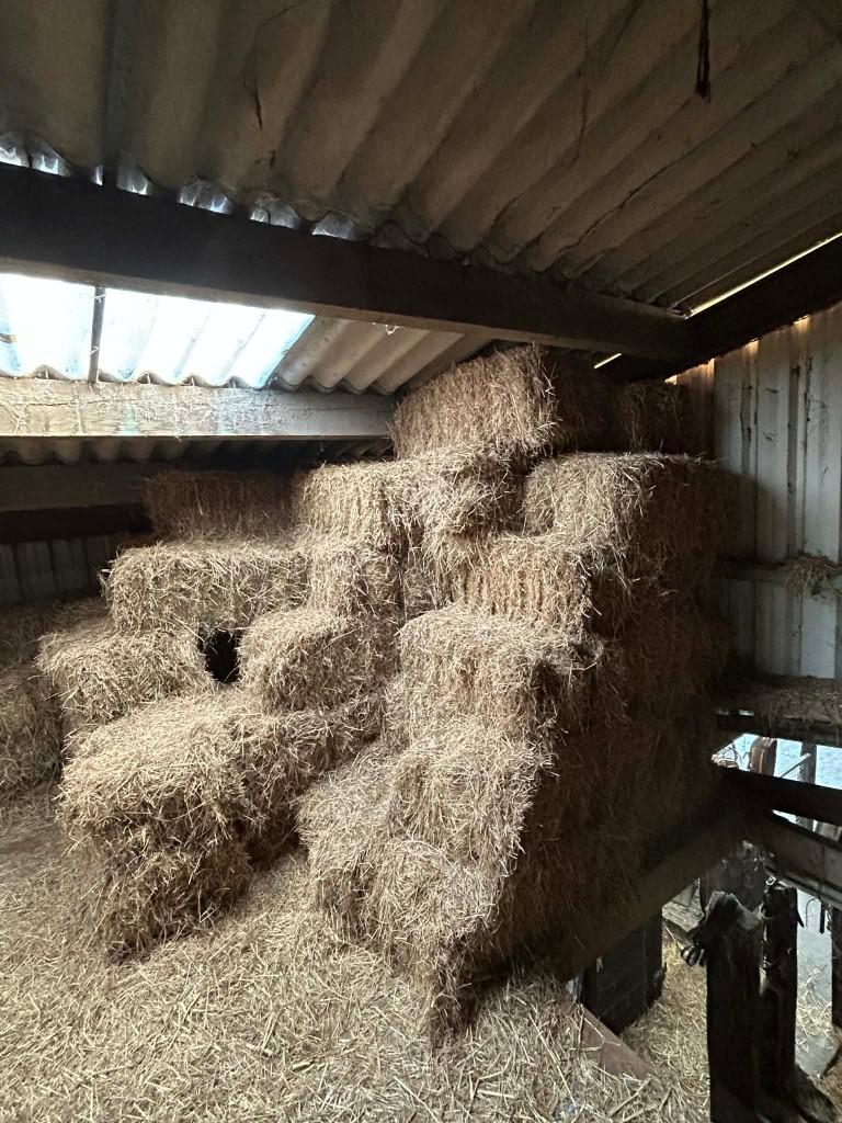 hooi te koop, Dieren en Toebehoren