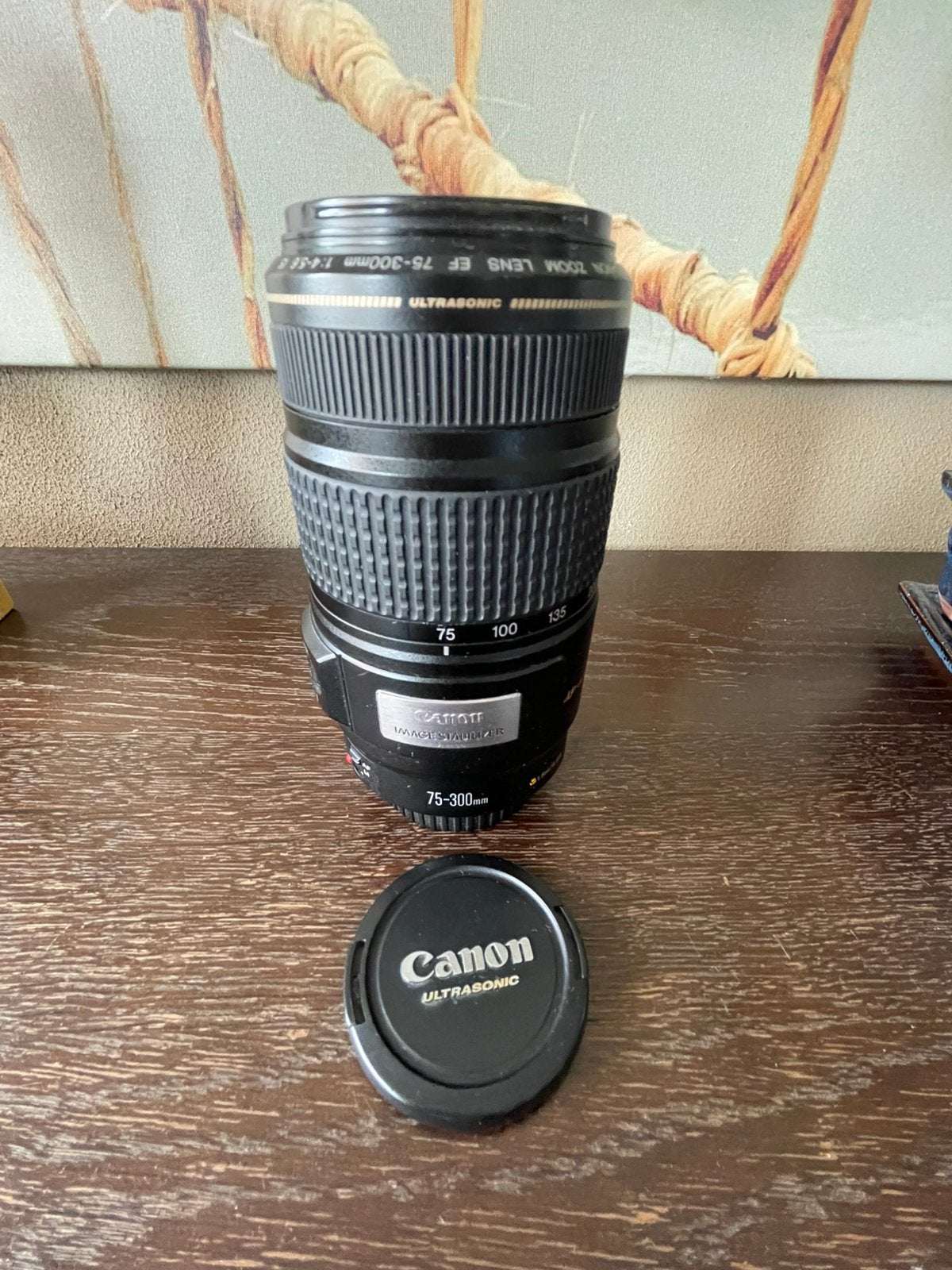 Canon Zoom Lens EF 75-300mm 1:4-5.6 IS USM, Ophalen, Canon, Autofocus, Telelens