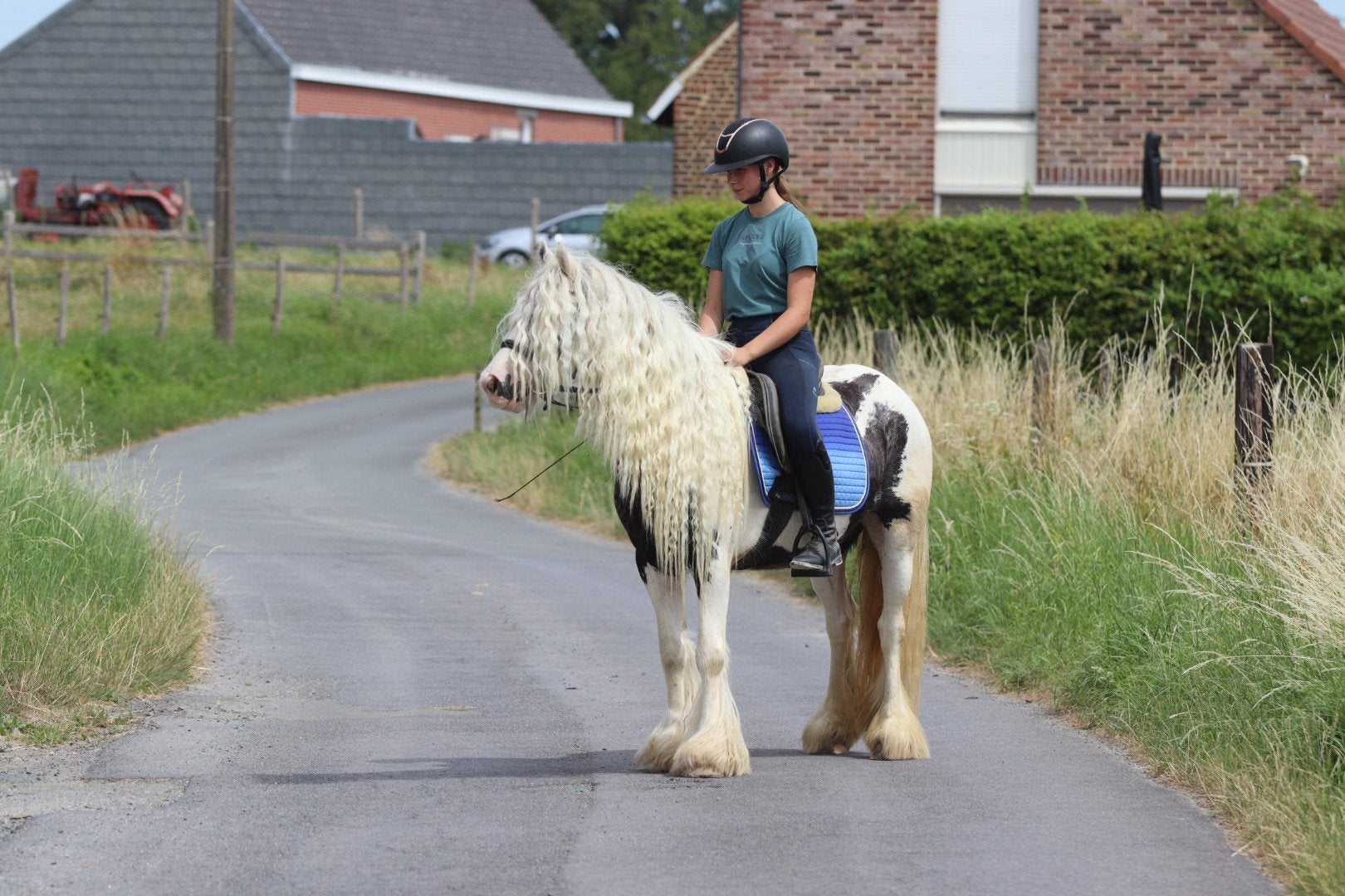 Knappe tinker pony, Dieren en Toebehoren, Merrie