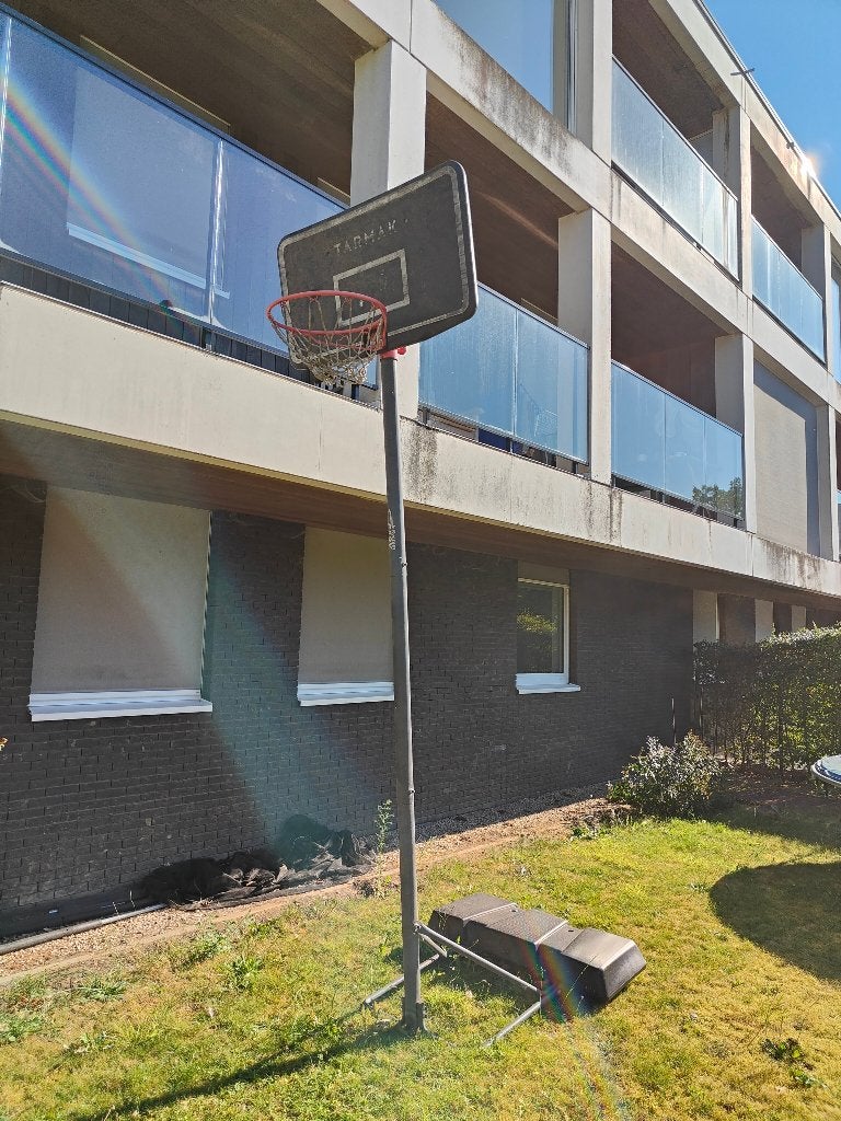 Basketring, Ophalen, Gebruikt, Ring, Bord of Paal